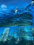 サンシャイン水族館に投稿された画像（2021/10/20）