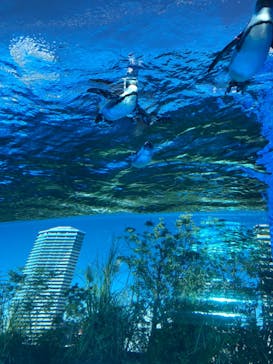 サンシャイン水族館に投稿された画像（2021/10/20）
