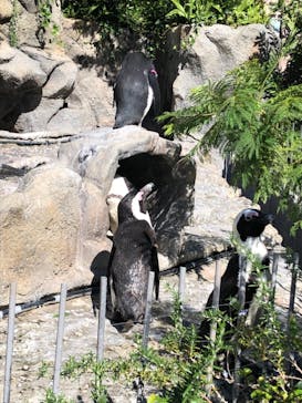サンシャイン水族館に投稿された画像（2021/10/20）