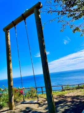 ACAO FORESTに投稿された画像（2021/10/20）