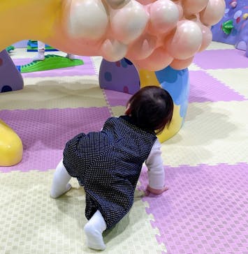 島根県立 しまね海洋館に投稿された画像（2021/10/20）