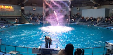 マクセル アクアパーク品川に投稿された画像（2021/10/20）