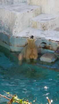 天王寺動物園に投稿された画像（2021/10/20）