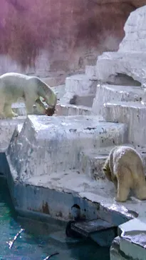 天王寺動物園に投稿された画像（2021/10/20）