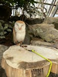 伊豆シャボテン動物公園に投稿された画像（2021/10/21）