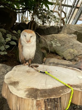 伊豆シャボテン動物公園に投稿された画像（2021/10/21）