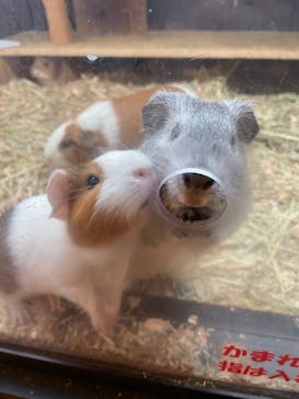 伊豆シャボテン動物公園に投稿された画像（2021/10/21）