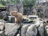 伊豆シャボテン動物公園に投稿された画像（2021/10/21）