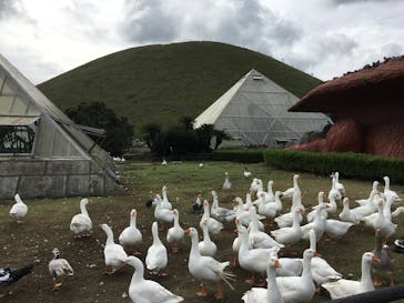 伊豆シャボテン動物公園に投稿された画像（2021/10/21）