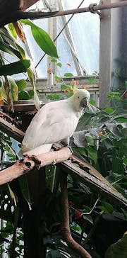 アロハガーデンたてやまに投稿された画像（2021/10/21）