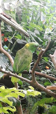 アロハガーデンたてやまに投稿された画像（2021/10/21）