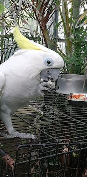 アロハガーデンたてやまに投稿された画像（2021/10/21）