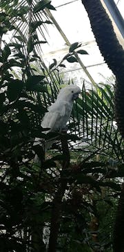 アロハガーデンたてやまに投稿された画像（2021/10/21）