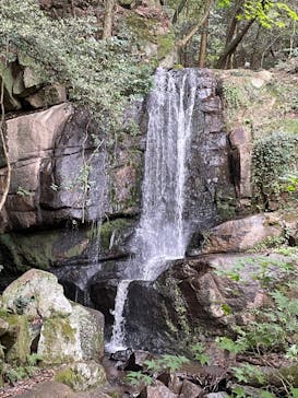 アソビュー株式会社　150881に投稿された画像（2021/10/22）