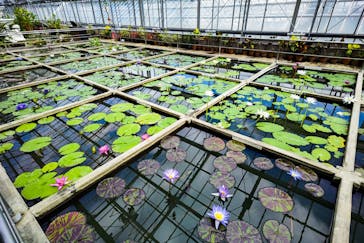 熱川バナナワニ園に投稿された画像（2021/10/22）