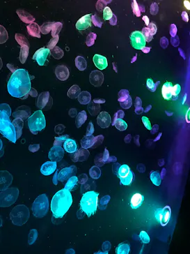 すみだ水族館に投稿された画像（2021/10/22）