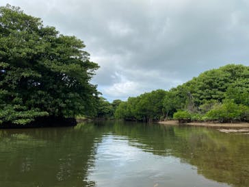 CHOROに投稿された画像（2021/10/22）