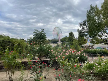 ひらかたパークに投稿された画像（2021/10/22）