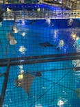 沖縄美ら海水族館に投稿された画像（2021/10/22）