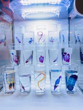 島根県立 しまね海洋館に投稿された画像（2021/10/22）