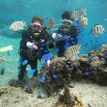 武藤潜水に投稿された画像（2021/10/23）