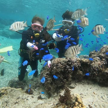 武藤潜水に投稿された画像（2021/10/22）