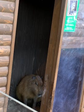 新江ノ島水族館に投稿された画像（2021/10/23）