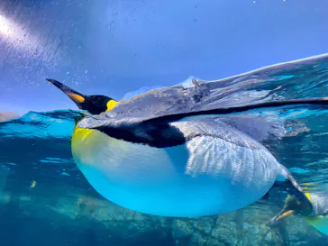 横浜・八景島シーパラダイスに投稿された画像（2021/10/23）