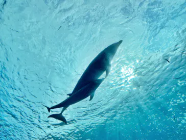 横浜・八景島シーパラダイスに投稿された画像（2021/10/23）