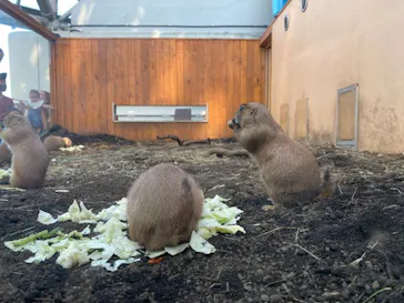 横浜・八景島シーパラダイスに投稿された画像（2021/10/23）