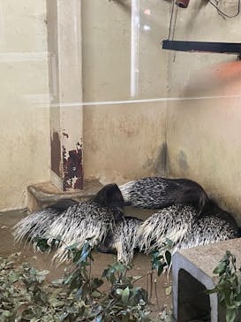 東武動物公園に投稿された画像（2021/10/23）