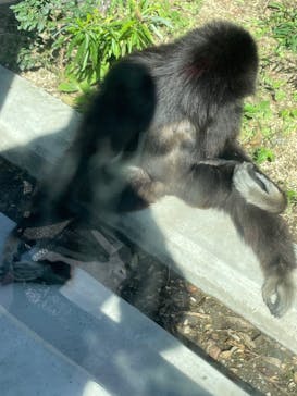 東武動物公園に投稿された画像（2021/10/23）