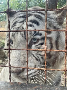 群馬サファリパークに投稿された画像（2021/10/23）