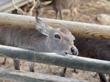 群馬サファリパークに投稿された画像（2021/10/23）