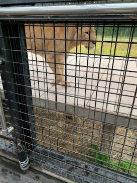 那須サファリパークに投稿された画像（2021/10/23）