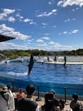 京都水族館に投稿された画像（2021/10/23）