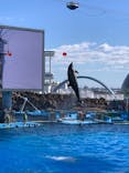 名古屋港水族館に投稿された画像（2021/10/23）