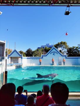 しながわ水族館に投稿された画像（2021/10/23）