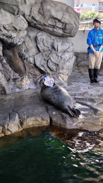 しながわ水族館に投稿された画像（2021/10/23）