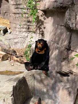 天王寺動物園に投稿された画像（2021/10/23）