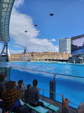 名古屋港水族館に投稿された画像（2021/10/23）