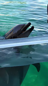 横浜・八景島シーパラダイスに投稿された画像（2021/10/23）