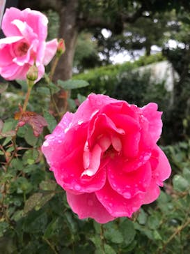 西武園ゆうえんちに投稿された画像（2021/10/23）