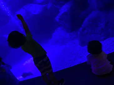 すみだ水族館に投稿された画像（2021/10/23）