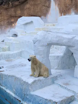 天王寺動物園に投稿された画像（2021/10/23）