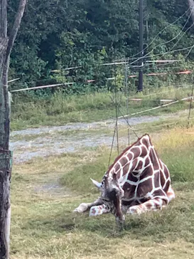 天王寺動物園に投稿された画像（2021/10/23）