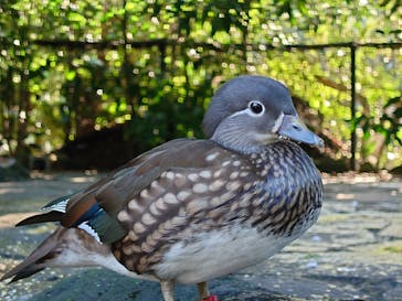 伊豆シャボテン動物公園に投稿された画像（2021/10/23）