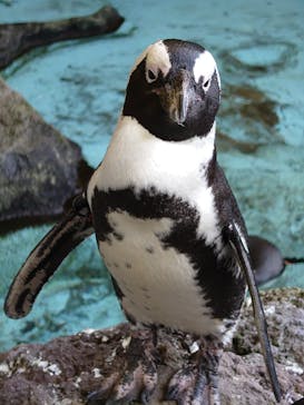 伊豆シャボテン動物公園に投稿された画像（2021/10/23）