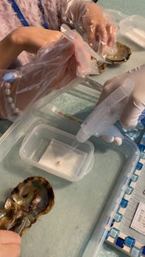 しながわ水族館に投稿された画像（2021/10/23）