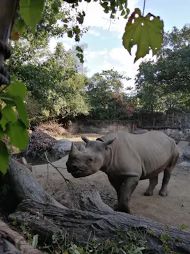 天王寺動物園に投稿された画像（2021/10/23）